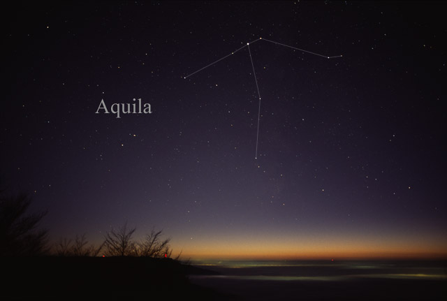 Photo de Aquila