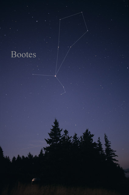 Photo de Bootes