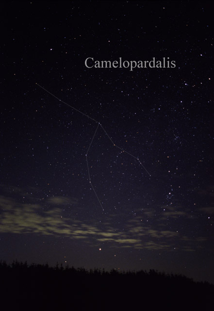 Photo de Camelopardalis