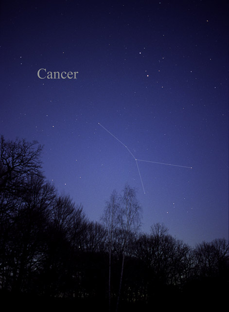 Photo de Cancer