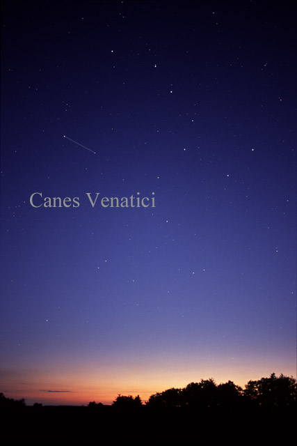 Photo de Canes Venatici
