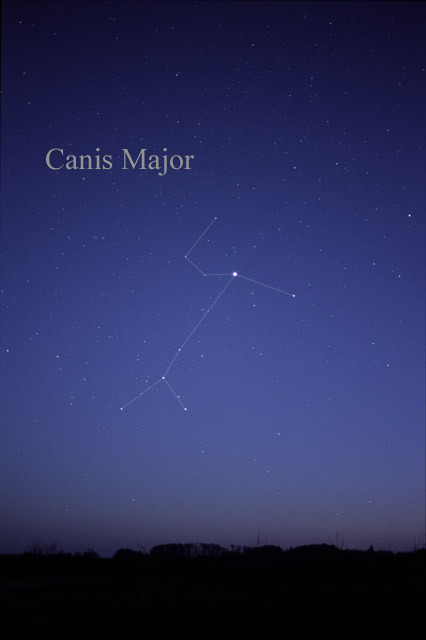 Photo de Canis Major