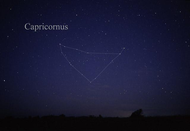 Photo de Capricornus