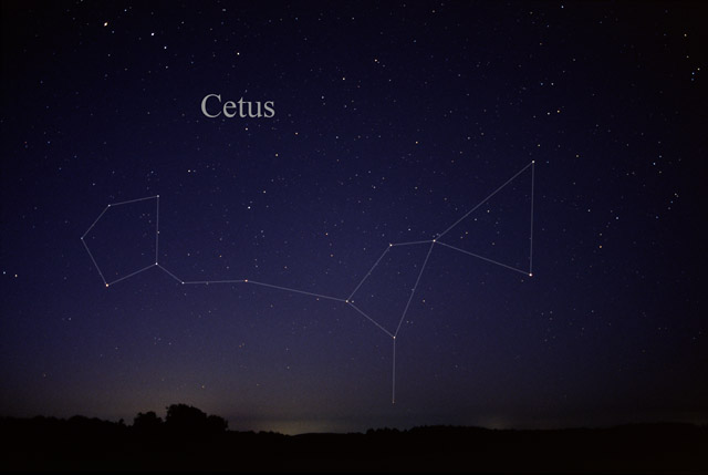 Photo de Cetus
