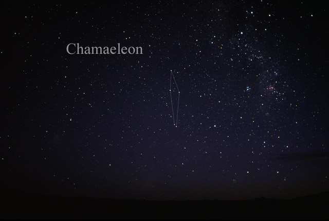 Photo de Chamaleon