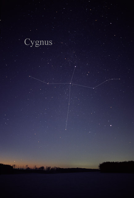 Photo de Cygnus
