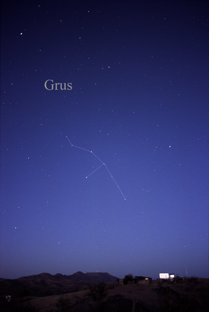 Photo de Grus