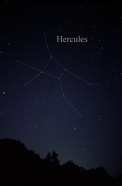 Photo de Hercules