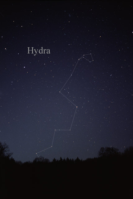 Photo de Hydra