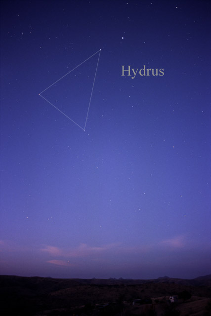 Photo de Hydrus