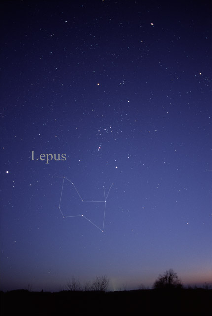 Photo de Lepus