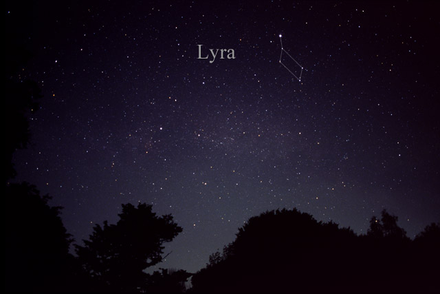 Photo de Lyra