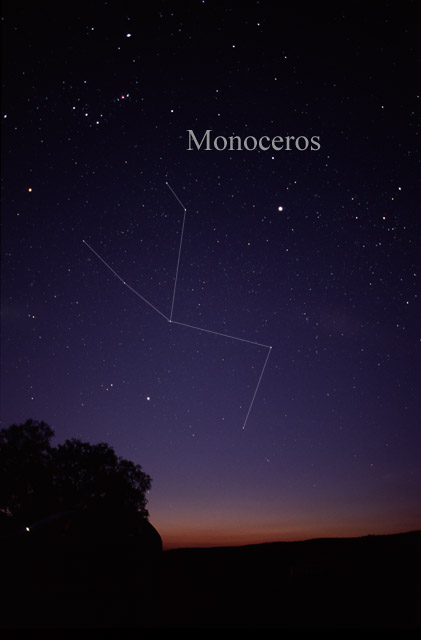 Photo de Monoceros