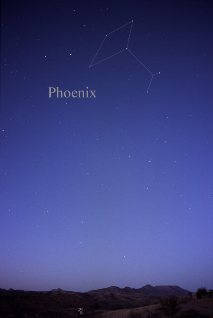 Photo de Phoenix
