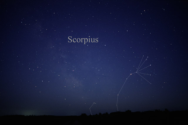Photo de Scorpius