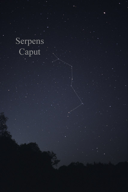 Photo de Serpens