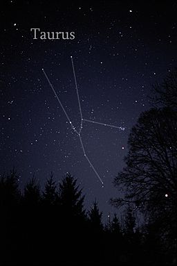 Photo de Taurus