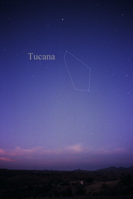 Photo de Tucana