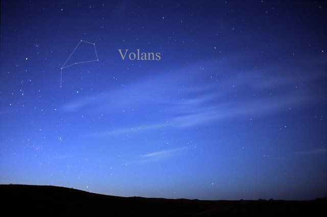 Photo de Volans