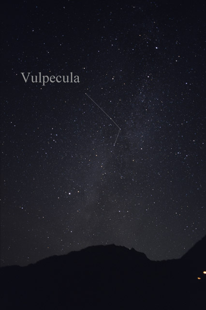 Photo de Vulpecula